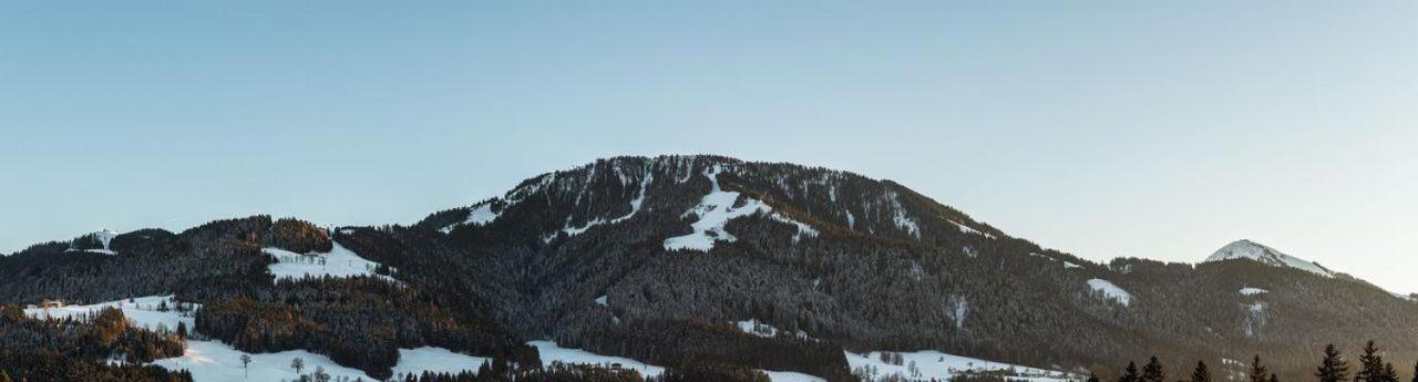 Ferienwohnung Bergliebe Scheffau am Wilden Kaiser Luaran gambar